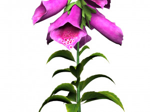 Colorful Low Poly Glove Flowers 3D-Modell