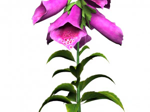 Flores coloridas de luva Low Poly Modelo 3D