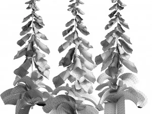 Flores coloridas de luva Low Poly Modelo 3D