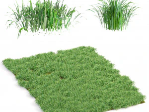 hojas de hierba Modelo 3D