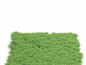 Grass blades 3D Model