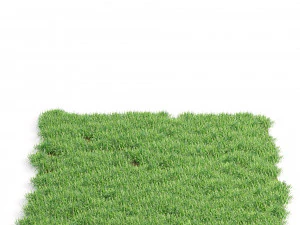 hojas de hierba Modelo 3D