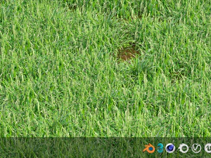 hojas de hierba Modelo 3D