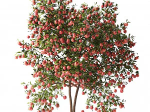 Pohon Delima yang Realistis Model 3D