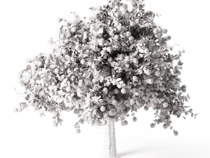 Realistic Pomegranate Tree 3D 모델