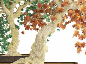 Fall and green bonny bonsai pot trees 3D मॉडल
