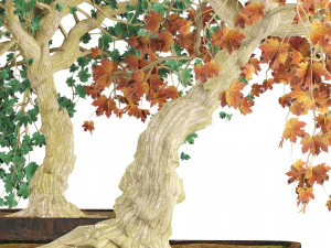 Pohon pot bonsai bonsai hijau dan gugur Model 3D