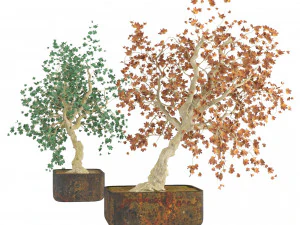 Fall and green bonny bonsai pot trees 3D Model