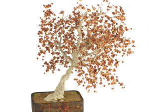 Fall and green bonny bonsai pot trees 3Dモデル
