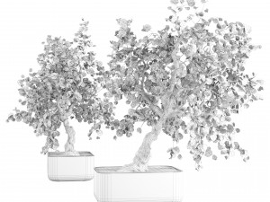 Fall and green bonny bonsai pot trees 3Dモデル