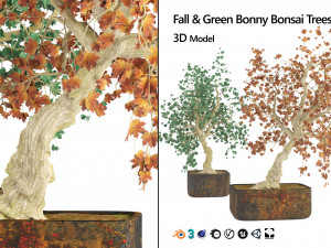 Fall and green bonny bonsai pot trees 3Dモデル
