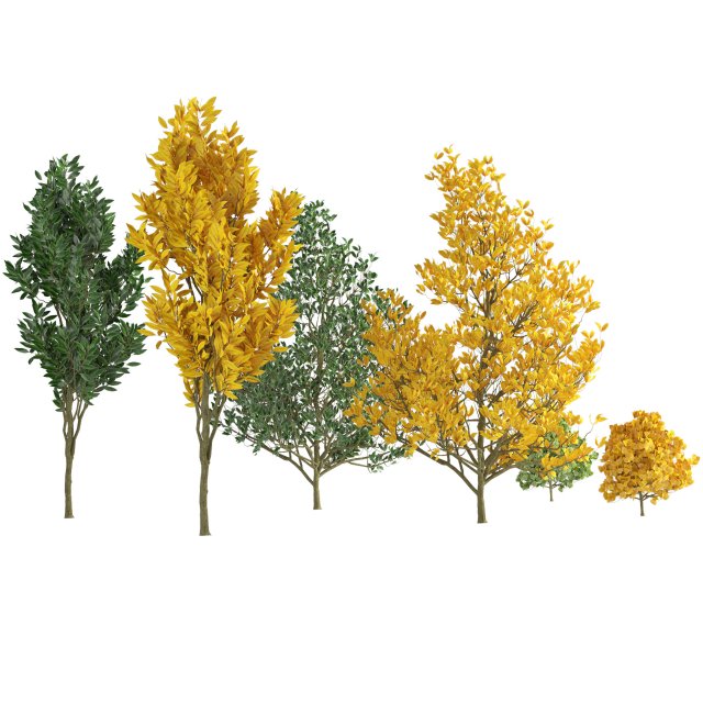 Landscape Saplings in Autumn and Spring 3D Model .c4d .max .obj .3ds .fbx .stl .blend 