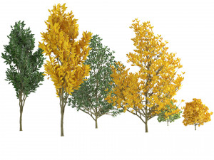 Landscape Saplings in Autumn and Spring 3D मॉडल