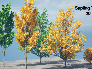 Landscape Saplings in Autumn and Spring 3D Model