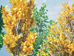 Landscape Saplings in Autumn and Spring 3D Model