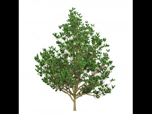 Landscape Saplings in Autumn and Spring 3D Model