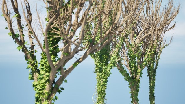 Ivy Climbers Growing on Winter Trees 3D 模型 .c4d .max .obj .3ds .fbx .stl .blend 