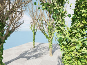 Ivy Climbers Growing on Winter Trees 3D 模型