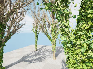 Ivy Climbers Growing on Winter Trees 3D Model