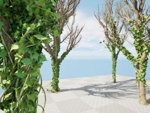 Ivy Climbers Growing on Winter Trees 3D 模型