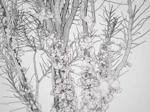 Ivy Climbers Growing on Winter Trees 3D 模型