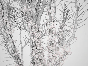 Ivy Climbers Growing on Winter Trees 3D Model