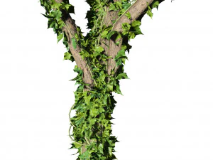 Ivy Climbers Growing on Winter Trees 3D Model