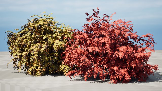 Shrubbery Bush for Garden Hose 3D Модель .c4d .max .obj .3ds .fbx .stl .blend 