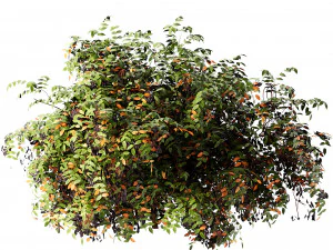 Shrubbery Bush for Garden Hose 3D Model