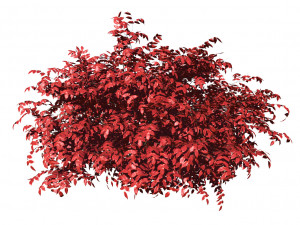Shrubbery Bush for Garden Hose 3D Модель