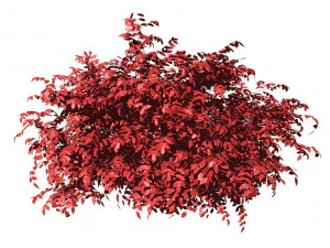 Shrubbery Bush for Garden Hose 3D Model