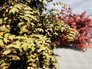 Shrubbery Bush for Garden Hose 3D Model