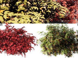 Shrubbery Bush for Garden Hose 3D Модель