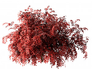 Shrubbery Bush for Garden Hose 3D Модель