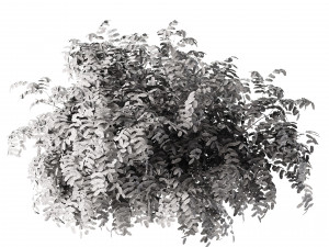 Shrubbery Bush for Garden Hose 3D Модель