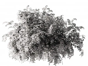 Shrubbery Bush for Garden Hose 3D Model