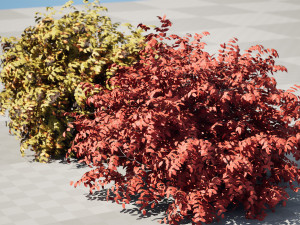 Shrubbery Bush for Garden Hose 3D Модель