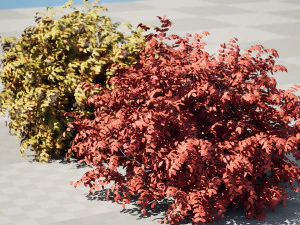 Shrubbery Bush for Garden Hose 3D Model