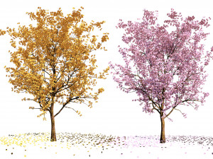 Realistic Low Poly Pink yellow Blossom Trees 3D मॉडल