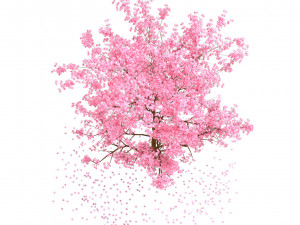 Realistic Low Poly Pink yellow Blossom Trees 3D 모델