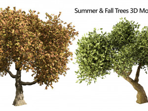 Lush Green Summer Tree and Vibrant Fall Tree s 3D मॉडल