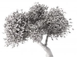 Lush Green Summer Tree and Vibrant Fall Tree s Modello 3D