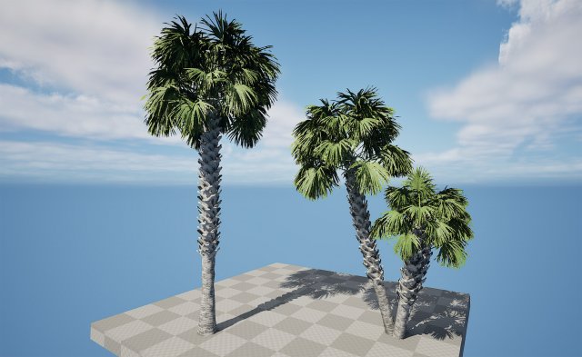 Sabal Palmetto 3D Assets 3D Model .c4d .max .obj .3ds .fbx .stl .blend 