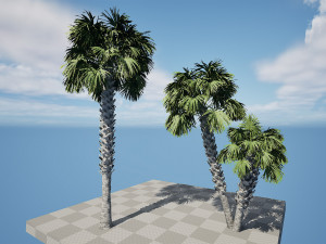 Sabal Palmetto 3D Assets 3D मॉडल