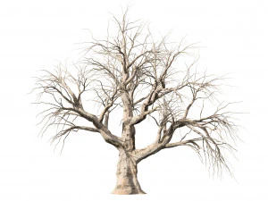 Gedetailleerde boomstam 3D Model