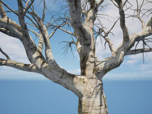 Detailed Tree Trunk 3D Model