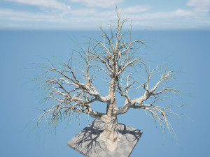 Detailed Tree Trunk 3D 모델