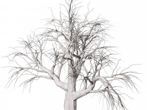 Detailed Tree Trunk 3D 모델