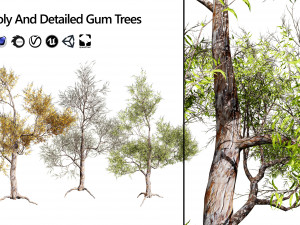 Realistic Gum Tree s 3D Модель