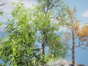 Realistic Gum Tree s 3D Model